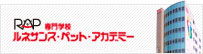 RAP 専門学校ルネサンス・ペット・アカデミー
